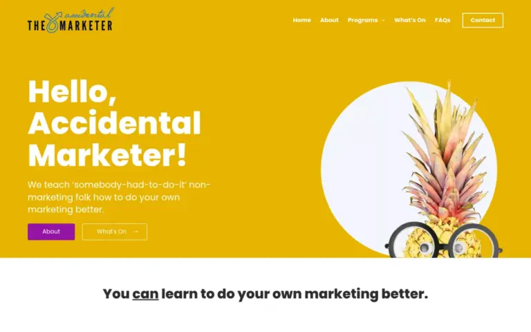 The Accidental Marketer website homepage